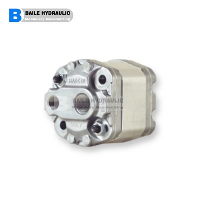 مارزوچی گیئر پمپ U {{0}}.25 D 18 KA U 0.25 D 24 KA